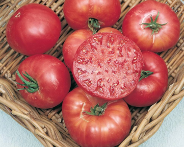 Mortgage Lifter Tomato Seeds